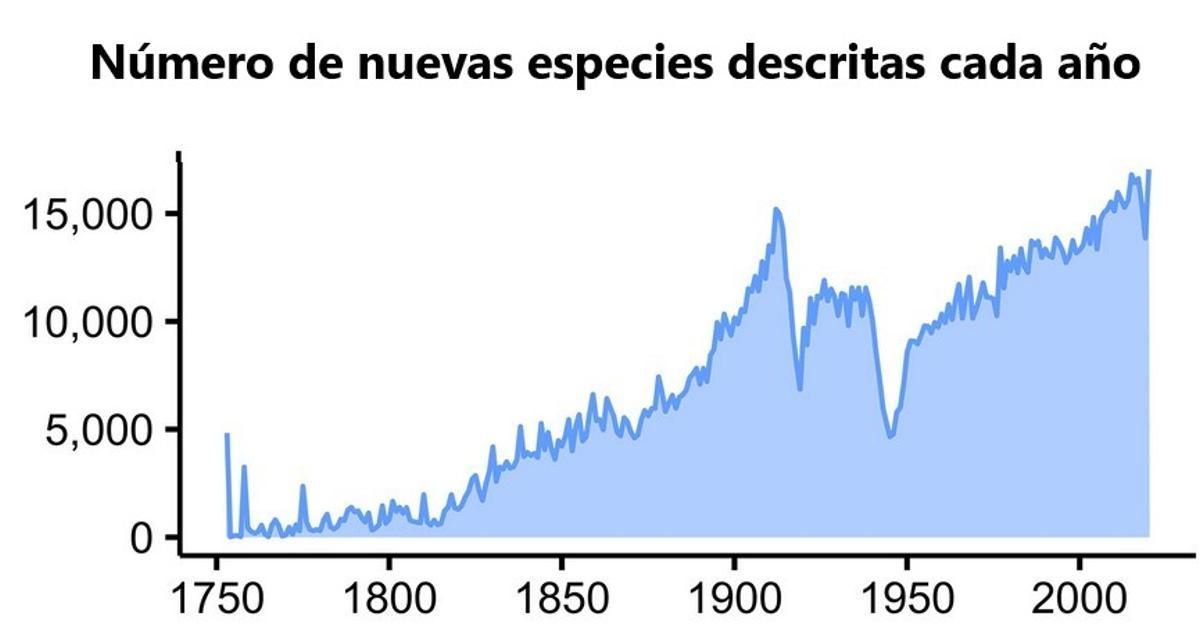 Numéro de nouvelles espèces décrites chaque année