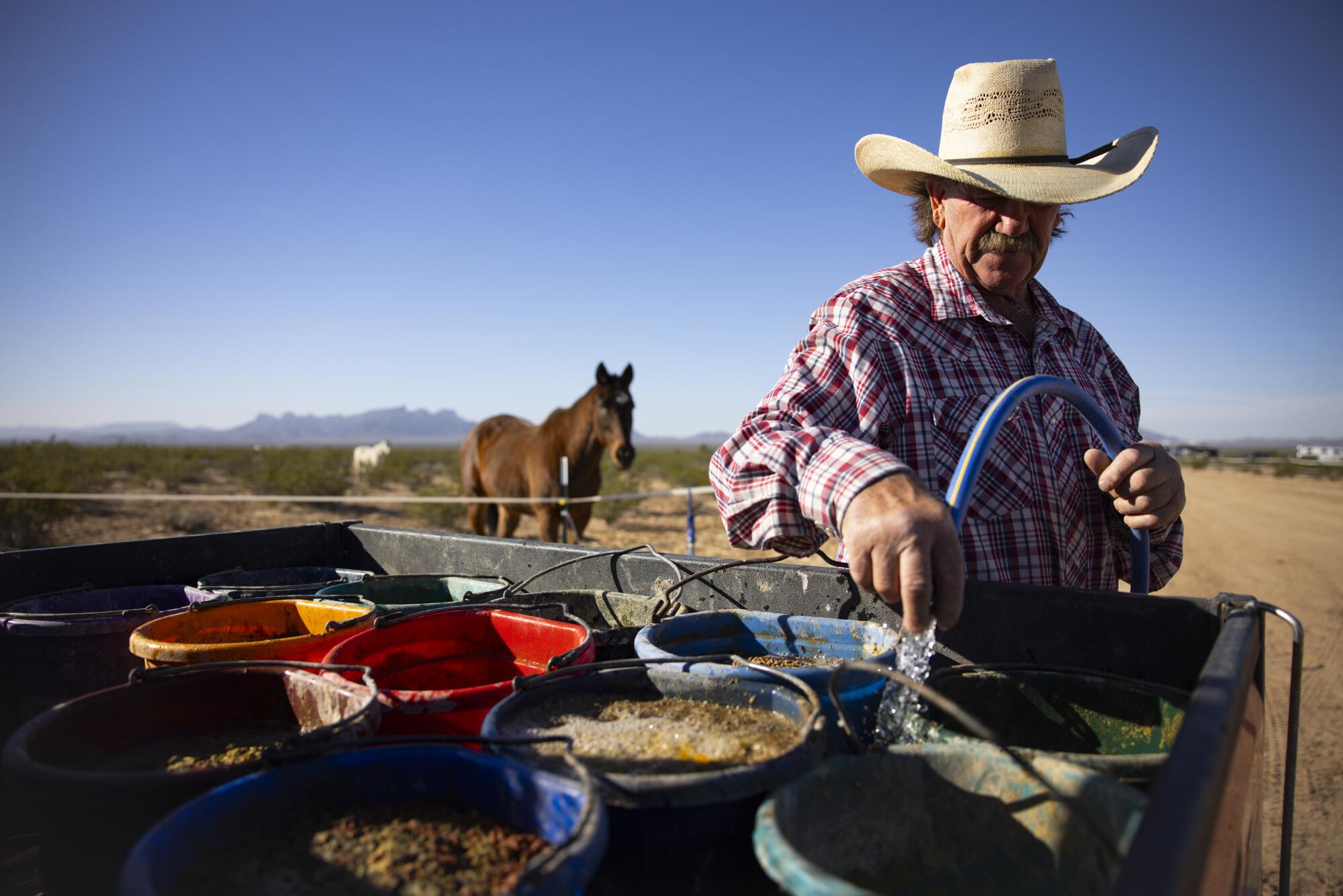 Larry Housley pompe de l'eau dans des seaux pour les chevaux dans sa ferme près de Bouse, en Arizona.