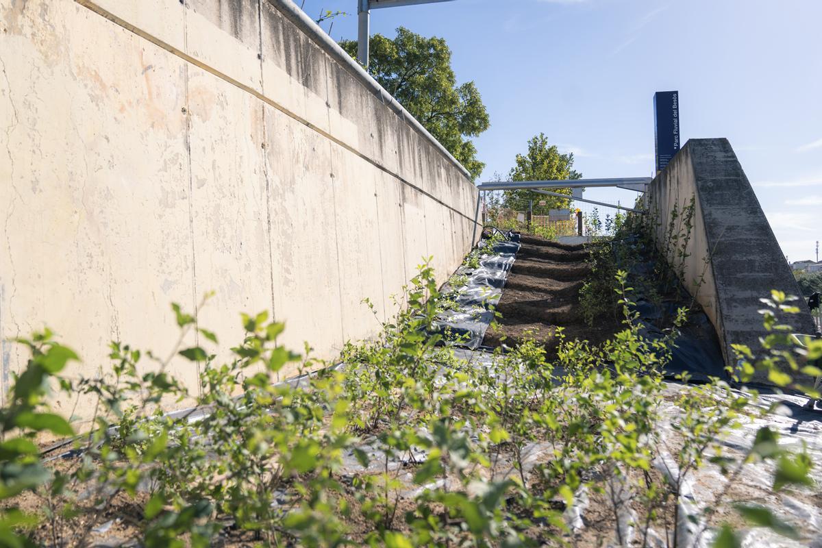 Le projet prétend se situer dans un espace fluvial pour la biodiversité, l'éducation et l'utilisation de la ville.