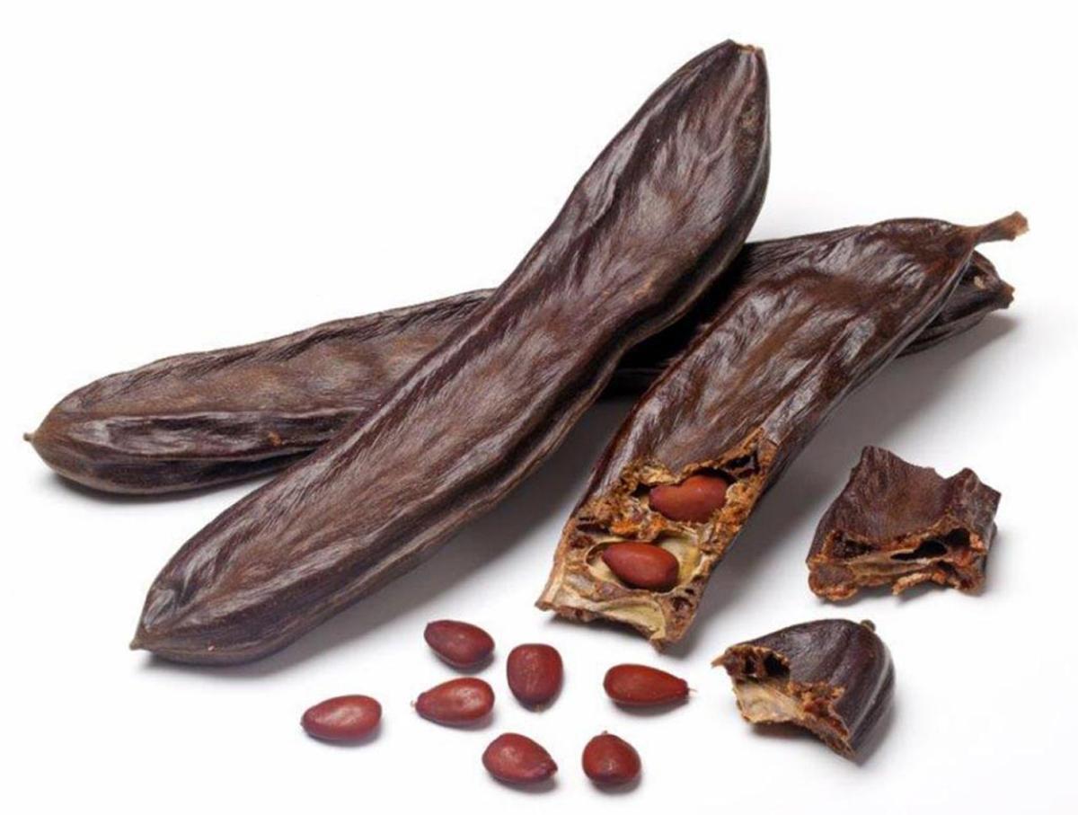 L'algarroba est utilisé dans de nombreux endroits pour fabriquer du chocolat