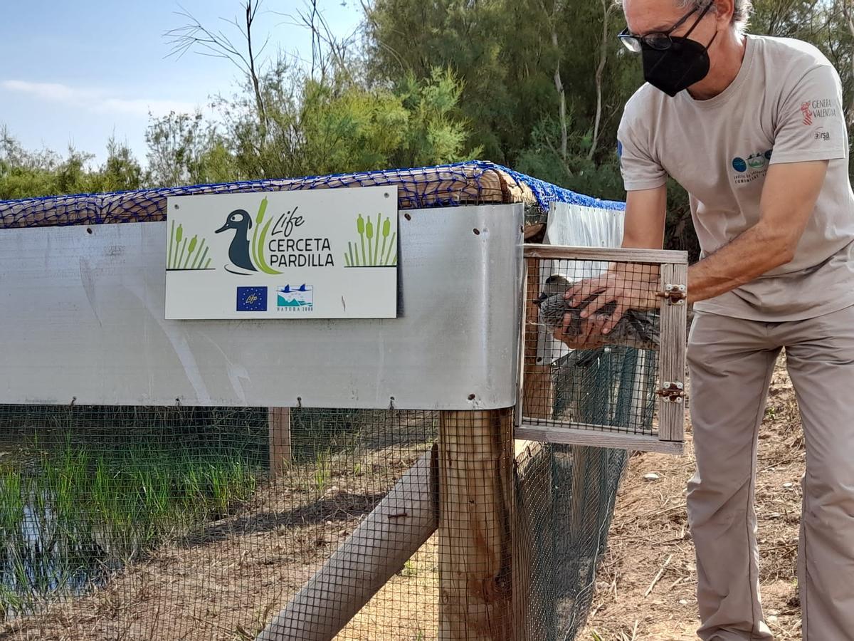 Suelta de exemples créés avec prudence