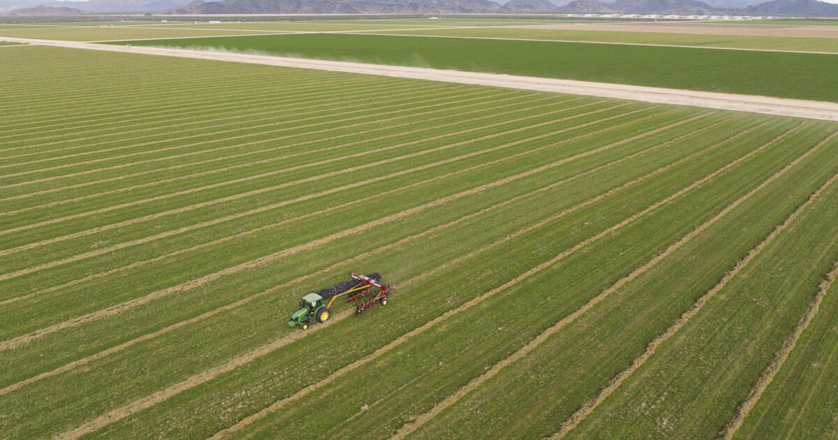 L’Arizona pourrait limiter le pompage des eaux souterraines là où une entreprise saoudienne cultive du foin