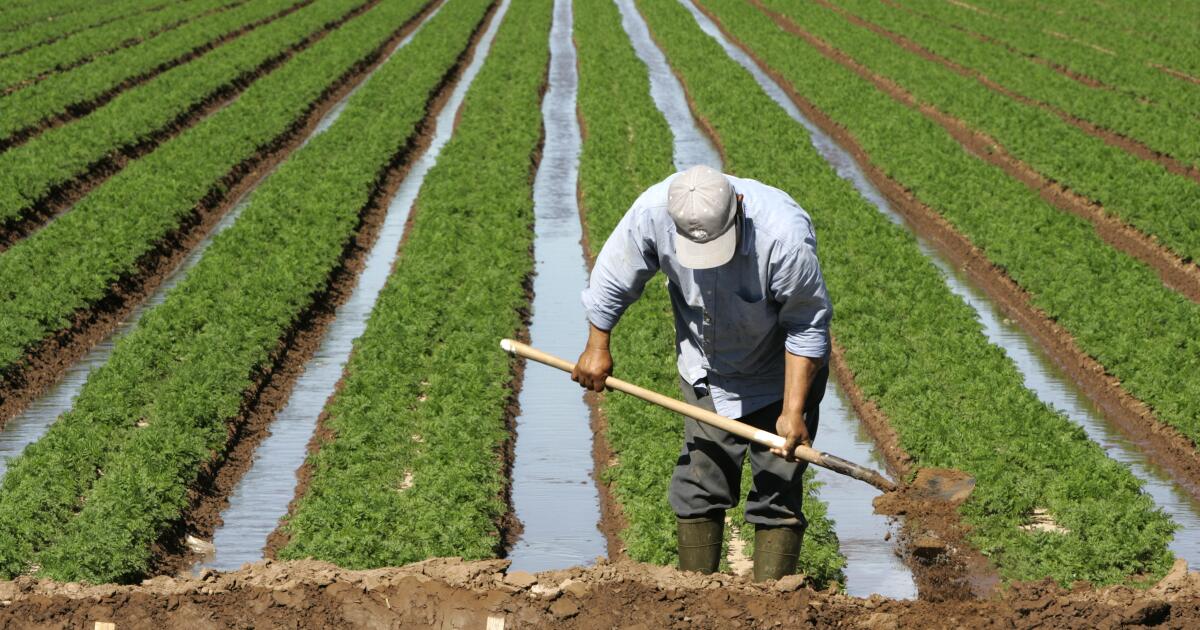 La Californie se prépare à la sécheresse suite au cinquième La Niña en six ans