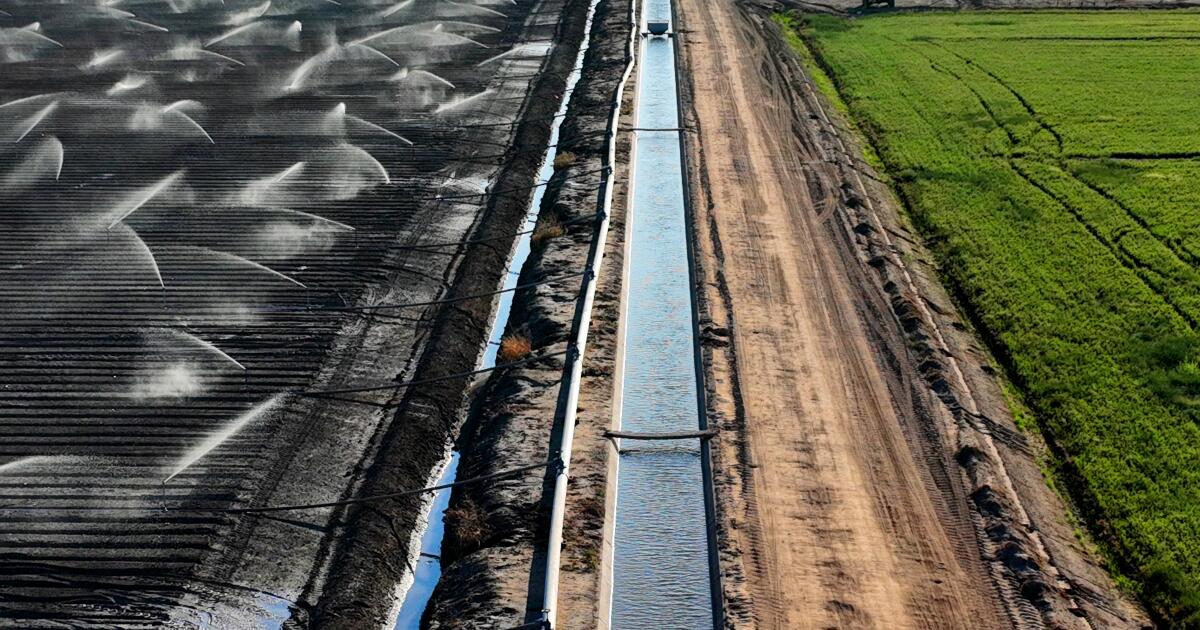 Le gouvernement fédéral devrait cesser de donner gratuitement de l'eau rare, selon un rapport