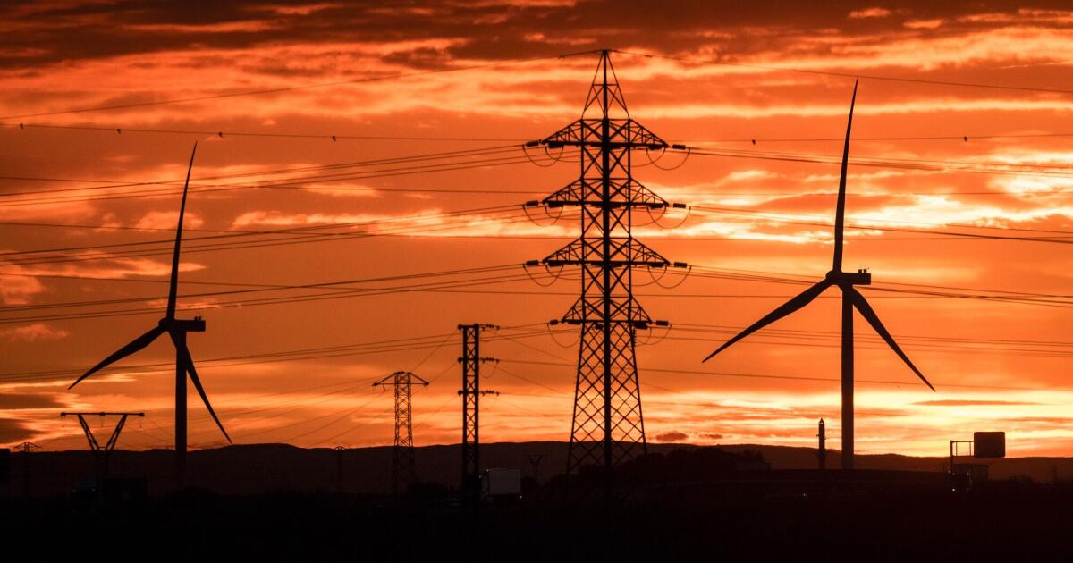 Les entreprises de technologie de réseau prospèrent alors que les investisseurs voient de la valeur au-delà du boom de l'IA