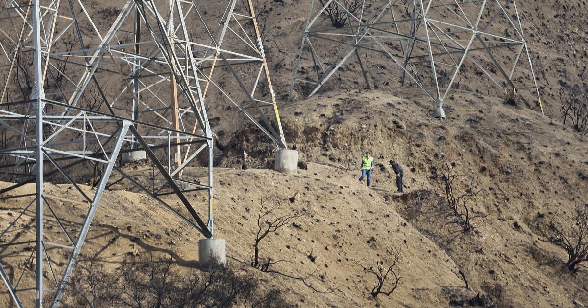 Les régulateurs californiens ordonnent à Edison de rechercher les risques d'incendie sur les anciennes lignes
