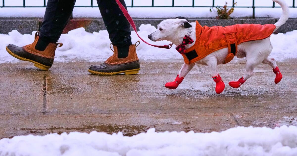 Un cyclone à la bombe provoque des blizzards dans le Midwest avant de tourner vers l'est