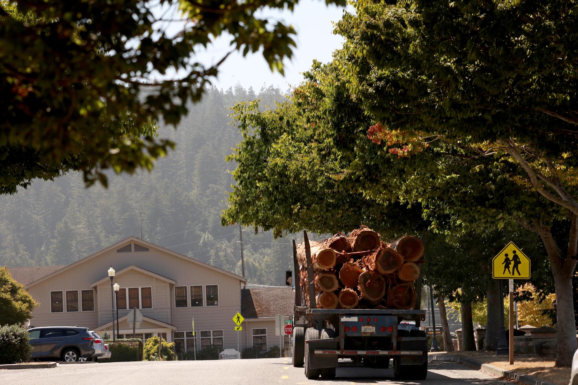 Un chauffeur de camion transporte une charge de bois sur la rue Main