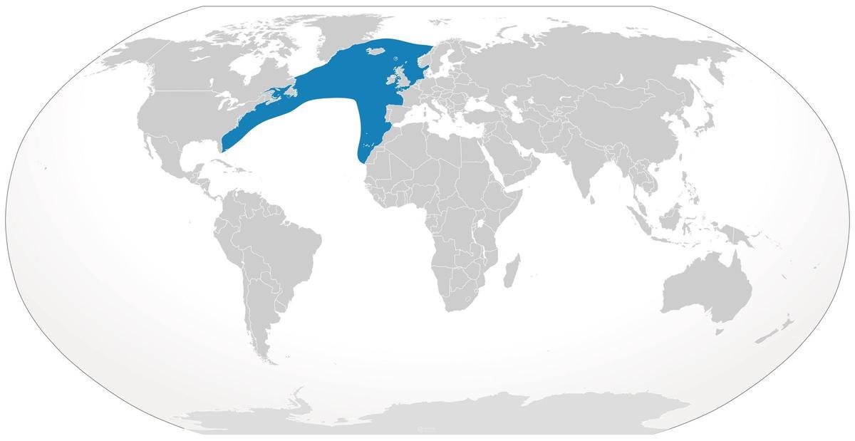 Zone de distribution de l'espèce