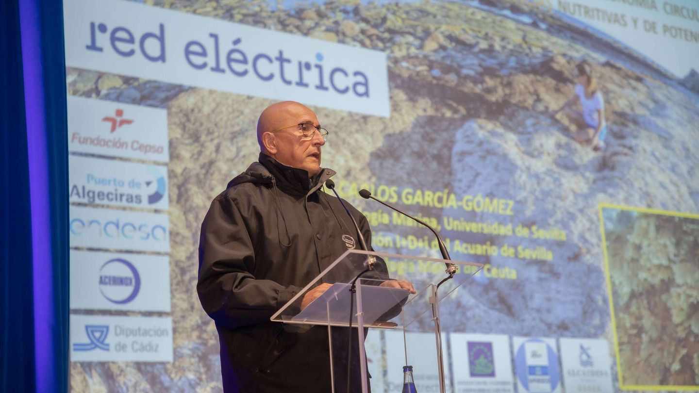 José Carlos García-Gómez, lors de la présentation de l'étude. (Photo : fournie par Redeia)