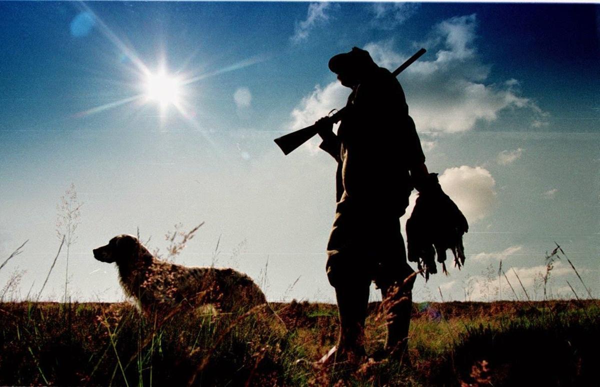 Dénonciation de la permissivité de la normative espagnole en ce qui concerne la situation et les mineurs