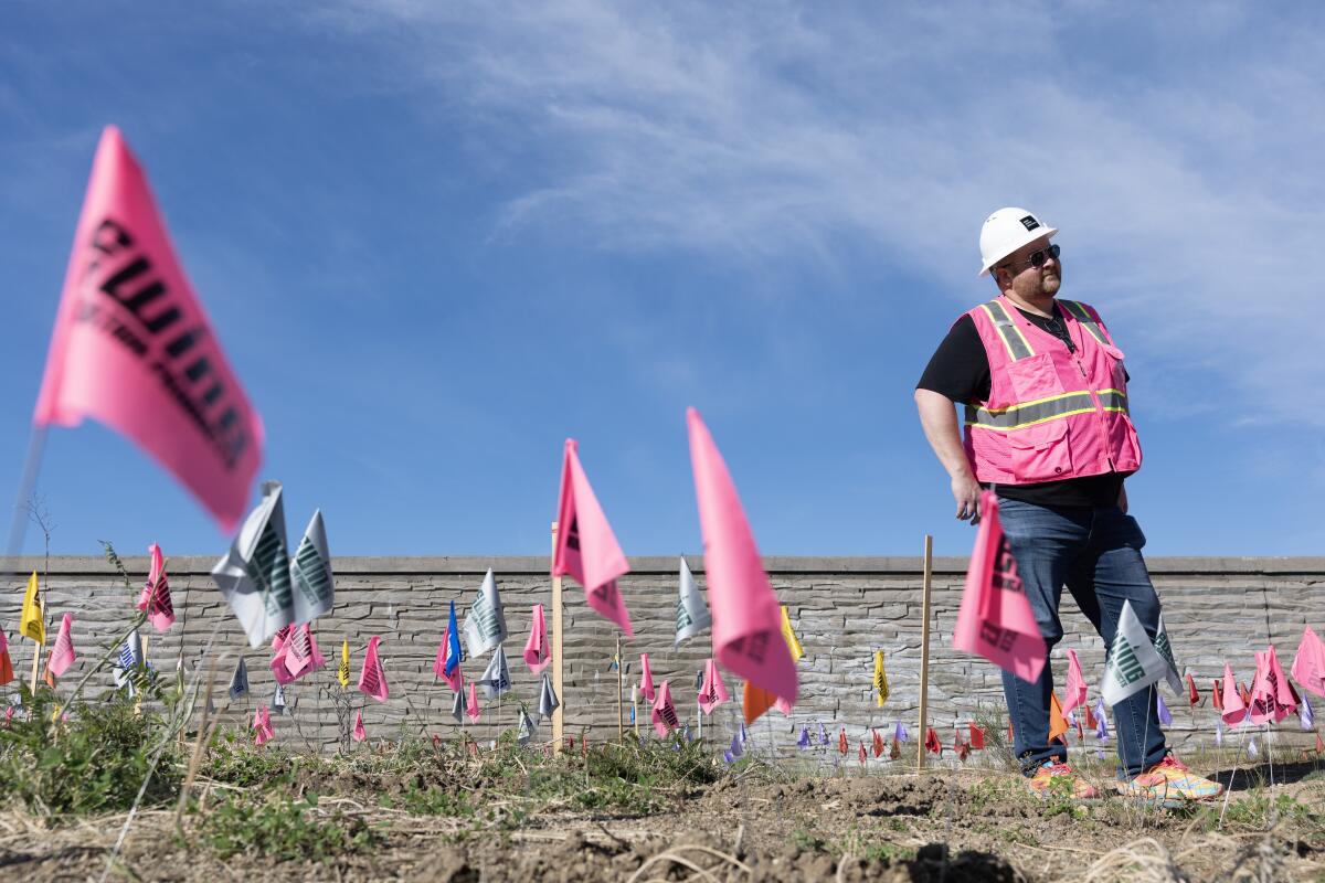 Robert Rock se tient le long des drapeaux marquant les emplacements des plantes à placer au sommet du pont.