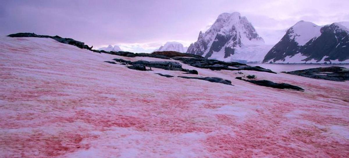 Aspect qui désire la neige par ce phénomène