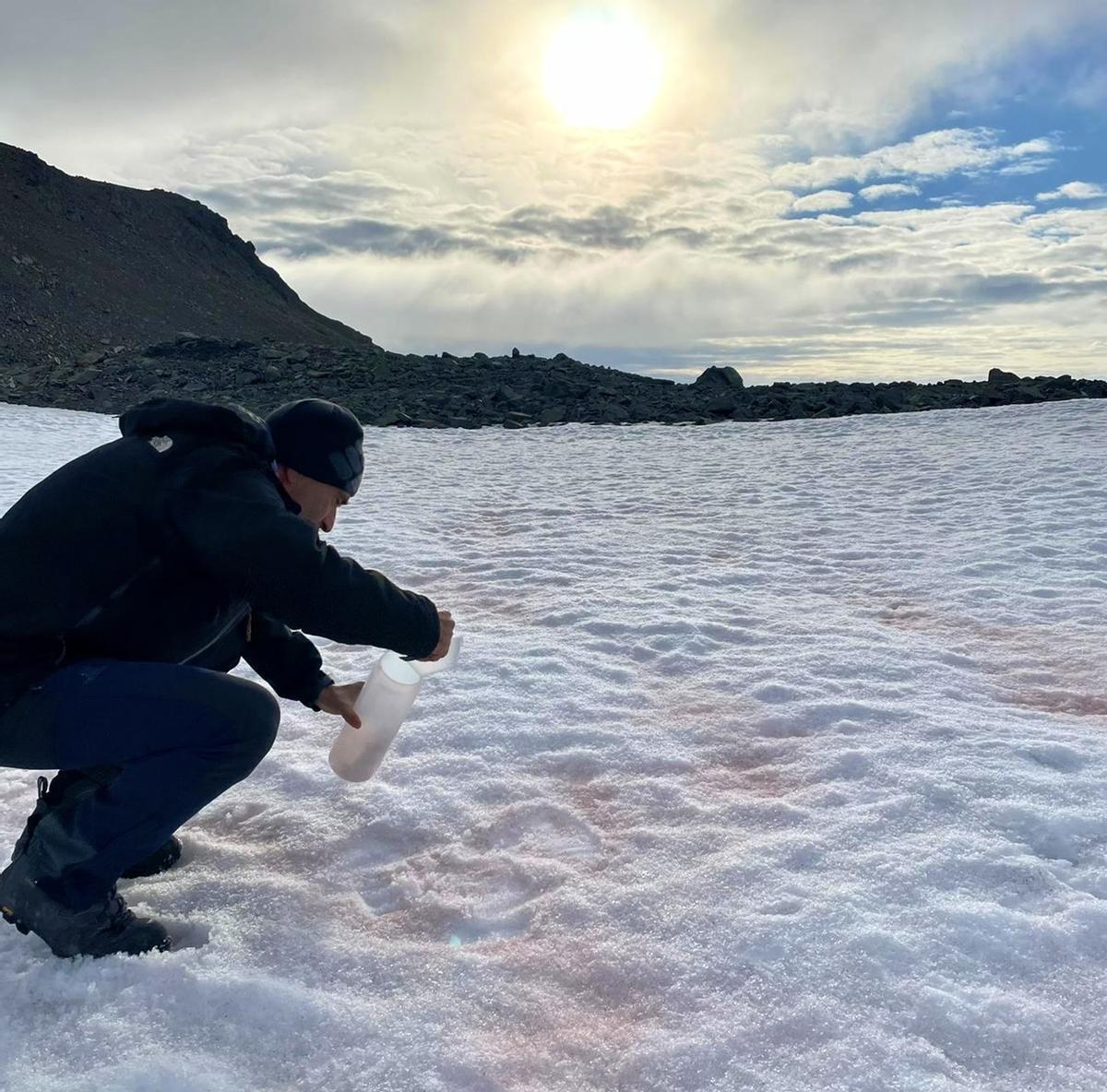 Recogida de muestras de alga roja