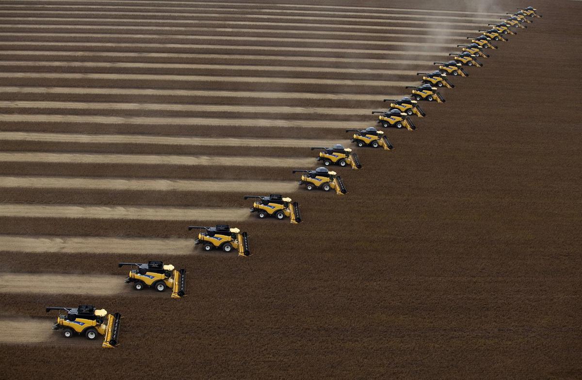 Cultivez le soja en lo que era selva amazónica