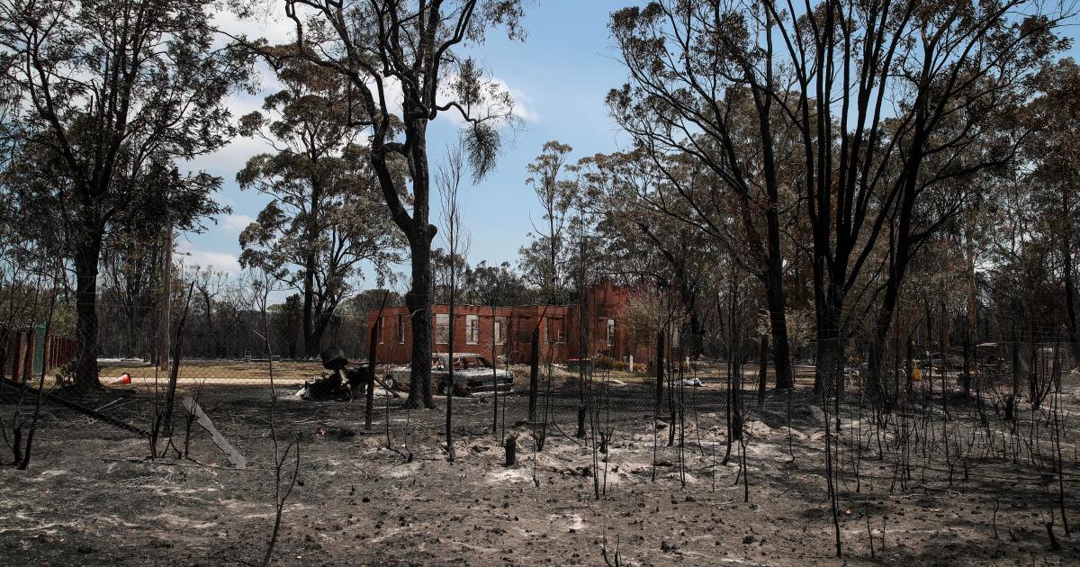 Des millions de personnes risquent des incendies de forêt comme ceux de Los Angeles en Australie