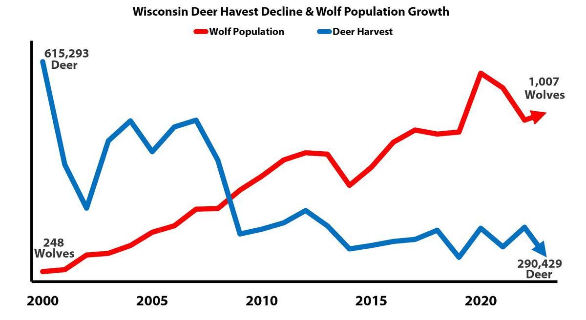 En rouge, population de hommes dans le Wisconsin ; en bleu, population de ciervo