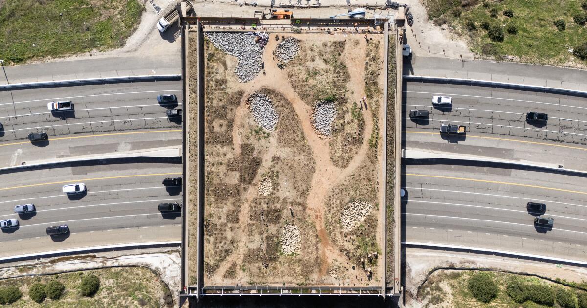 Le Wallis Annenberg Wildlife Crossing est sur la bonne voie pour son ouverture à l'automne
