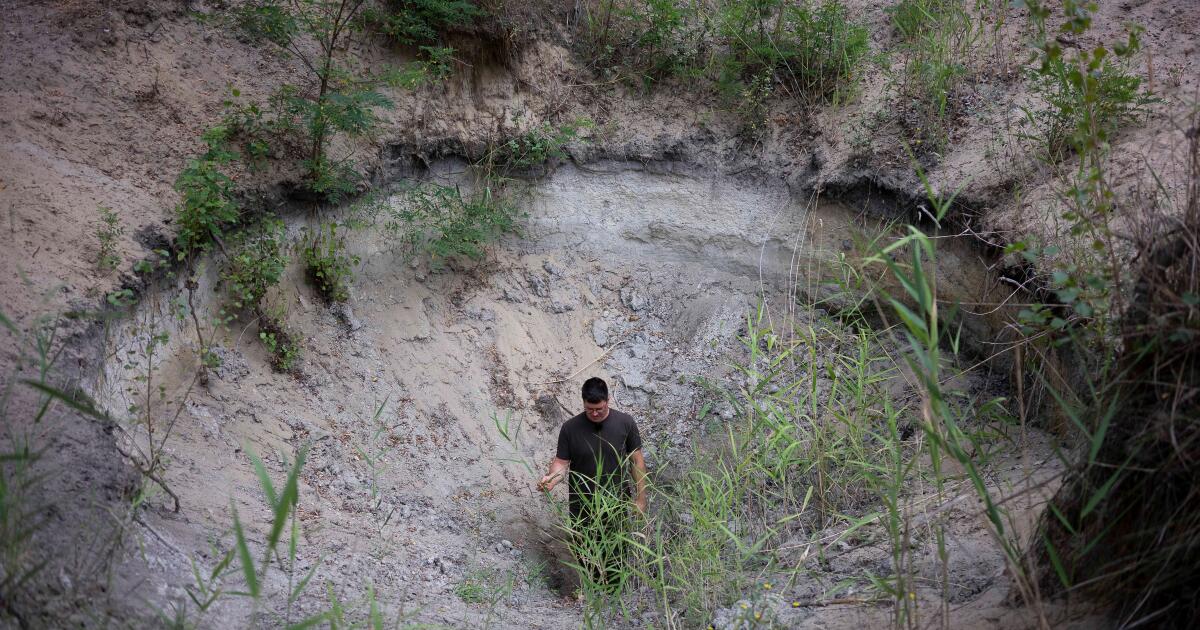 Les agriculteurs hongrois, « gardiens de l'eau », luttent contre la désertification