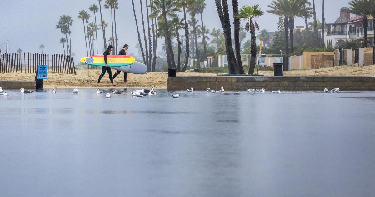 Les autorités exhortent les baigneurs à éviter les plages du comté de Los Angeles après la pluie