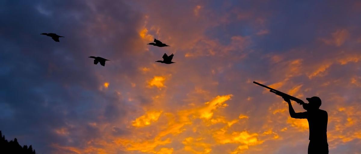 L'ONU a demandé que l'on puisse faire en sorte que l'Espagne soit sur le plan juridique