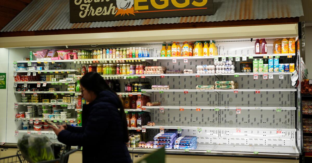 Une énorme tempête hivernale aux États-Unis apportera de la neige, du grésil et de la glace paralysants du Texas à Boston