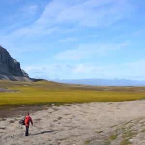 CAMBIO CLIMATIQUE | Les turbines arctiques s'étendent par le chauffage mondial : les scientifiques subrayent la nécessité urgente de protection
