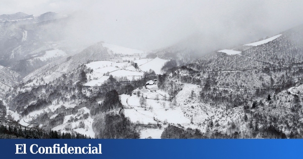 L'aventure risquée de l'hibernation pour survivre dans un paysage gelé