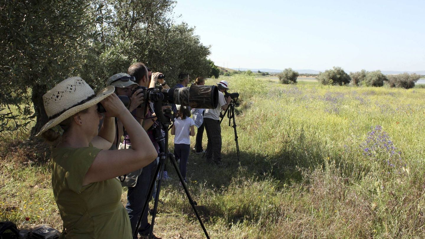 Touristes observant des oiseaux en pleine nature (EFE/Beldad)
