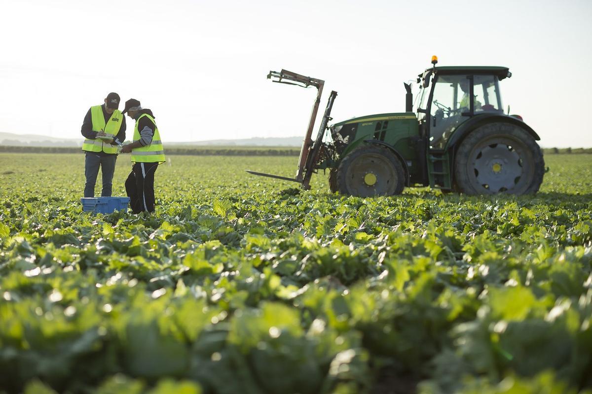 L’utilisation de pesticides ne doit pas être restreinte de manière adéquate à l’UE.