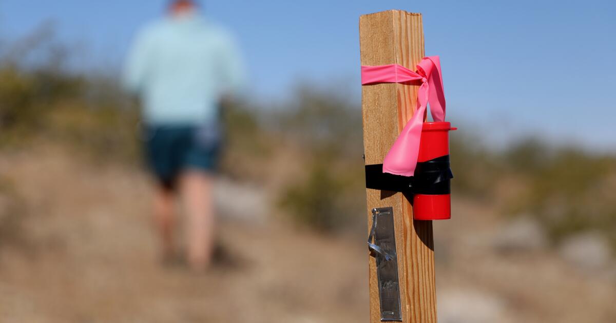 À côté du parc national Joshua Tree, une société minière jalonne un claims