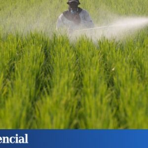 L'agro-industrie voit la campagne comme une succession d'exploitations agricoles de production intensive
