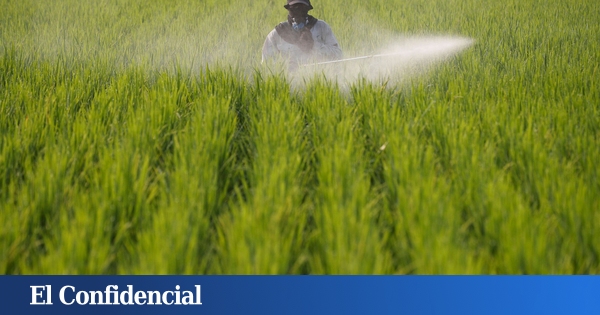 L'agro-industrie voit la campagne comme une succession d'exploitations agricoles de production intensive