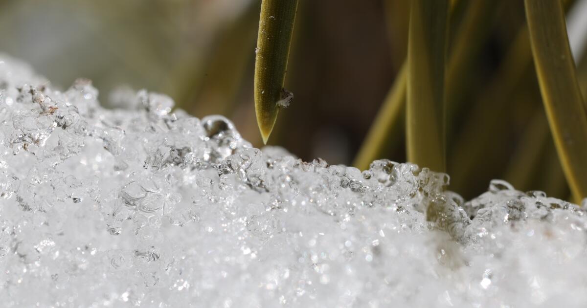 La chaleur extrême fait fondre rapidement le manteau neigeux de Californie