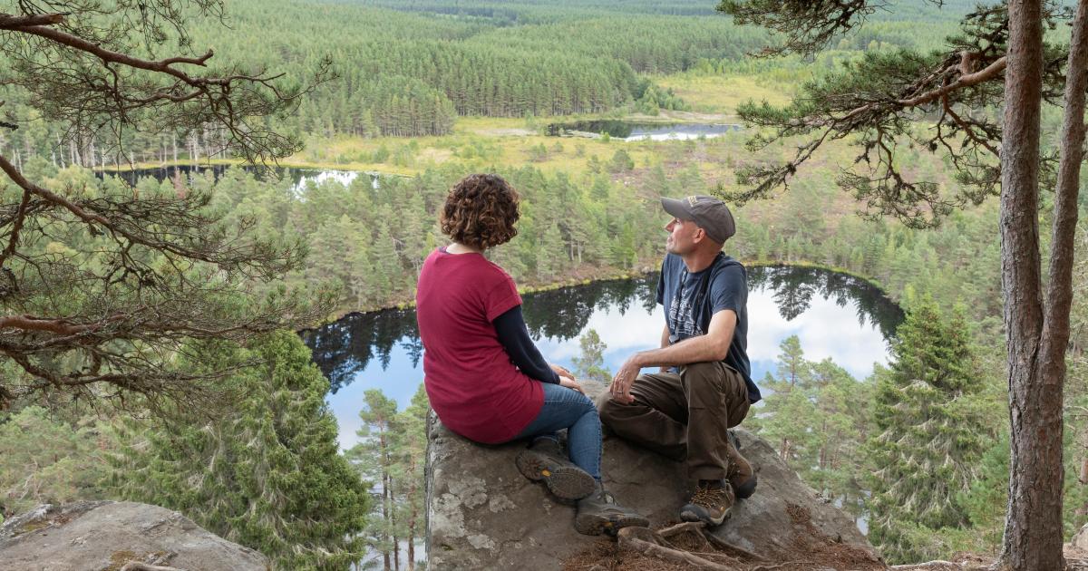 La loi « incubera » une nation en pleine résauvagement
