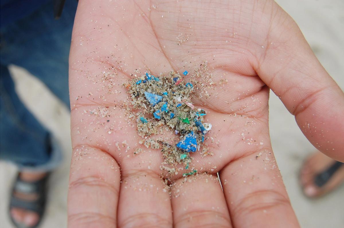 Microplastiques qui sont postérieurement dégradés sous forme de nanoplastiques