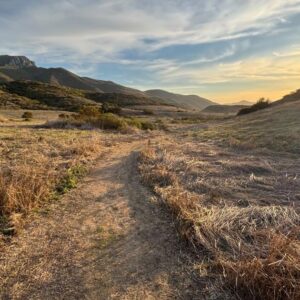 Un adolescent du comté de Ventura sauvé après une morsure de serpent à sonnette