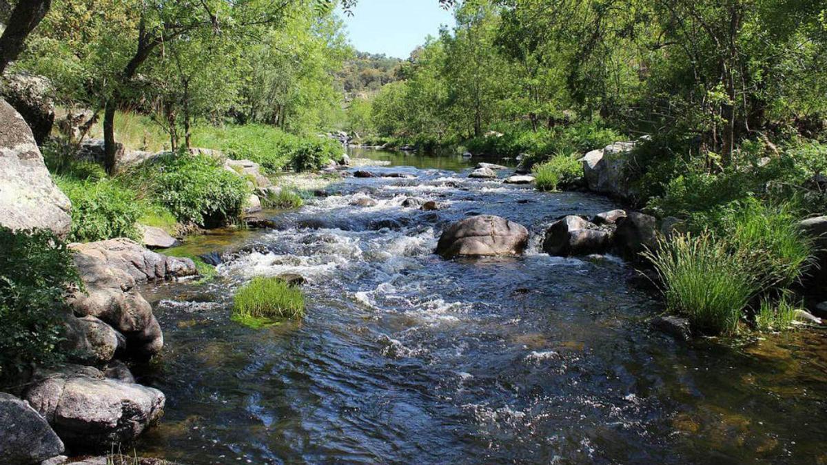 Les rivières ne peuvent toujours pas récupérer leur biodiversité pour de multiples causes