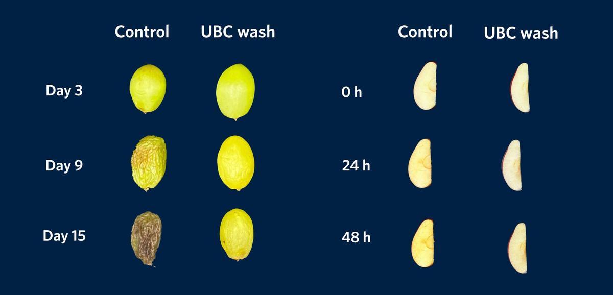 À la recherche, un grano de uva sin y avec la solution de lavage et, à la derecha, une portion de manzana