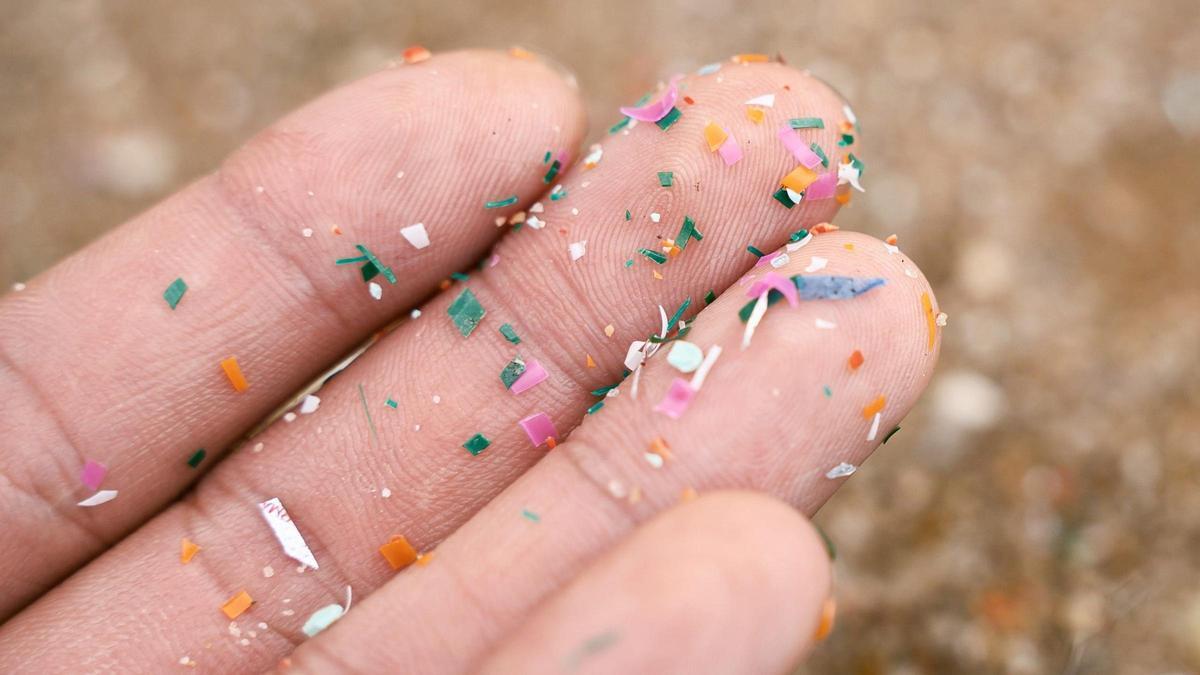 Les microplastiques et nanoplastiques sont un problème omniprésent