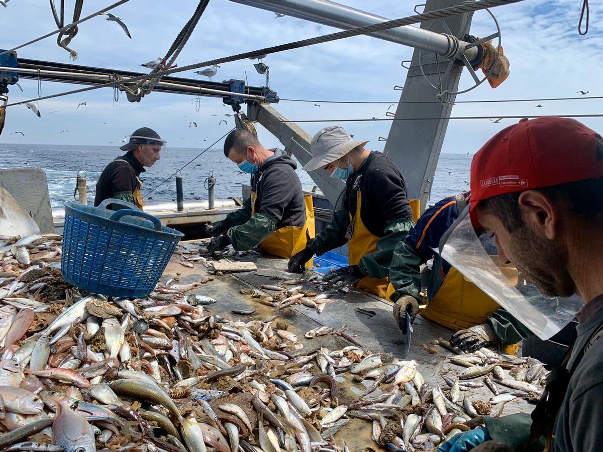 El informe quantifica beneficios y perjuicios de la pesca de arrastre de fondo