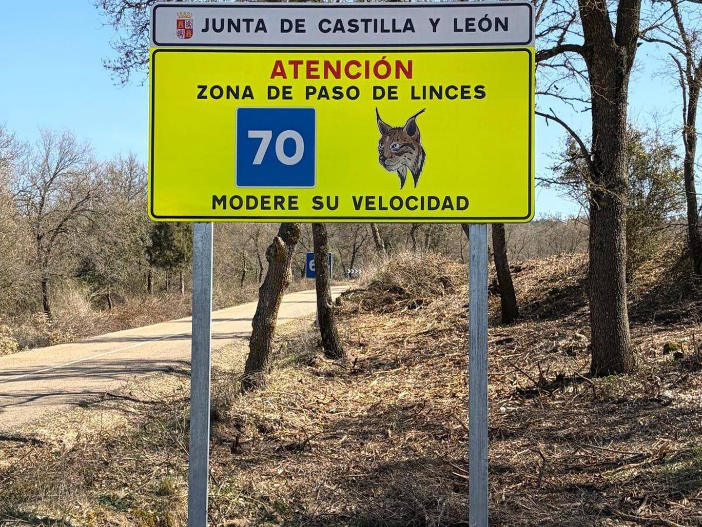 Un des panneaux de signalisation avertissant du passage des lynx (Jose Luis Gallego)
