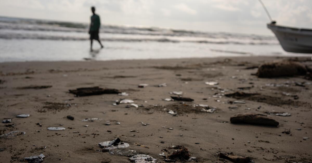 Des groupes environnementaux accusent le Mexique de mentir sur l'origine de la marée noire dans le Golfe