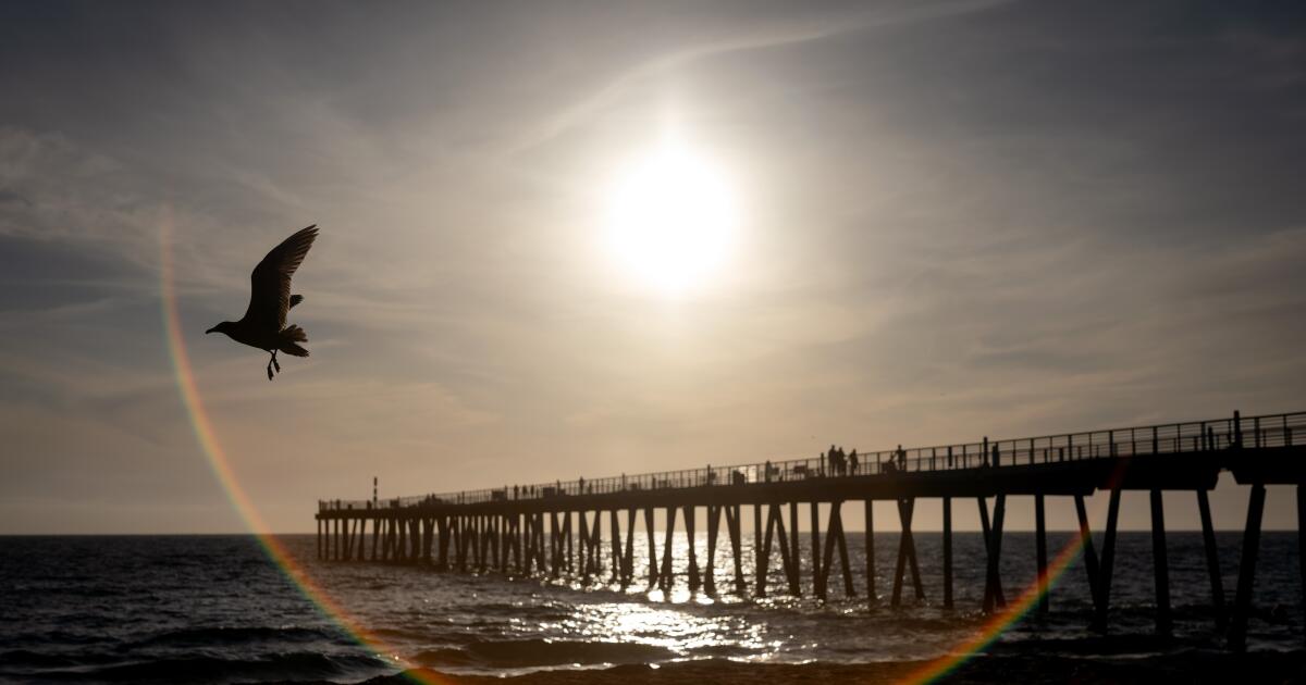 L'océan au large de la Californie continue de battre des records de chaleur