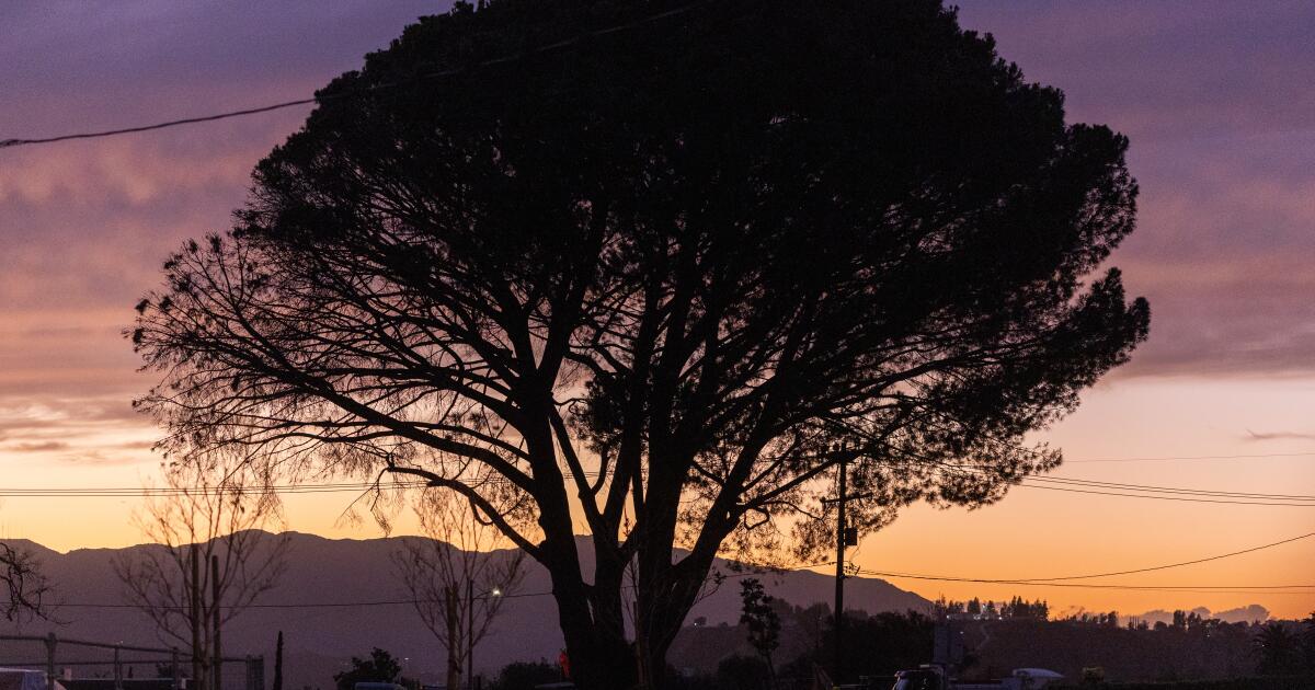 Les habitants d'Altadena en colère demandent aux autorités d'arrêter les travaux souterrains d'Edison