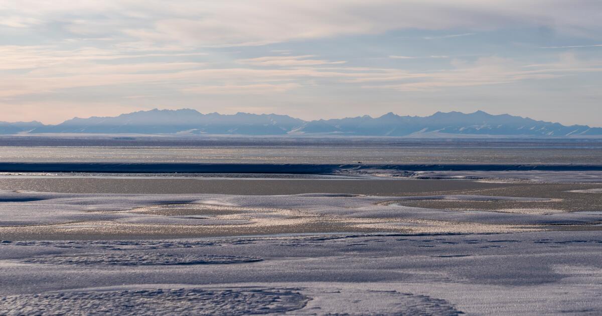 Nouvelle vente de baux pétroliers et gaziers pour la réserve faunique nationale de l'Arctique en Alaska, au milieu d'un litige