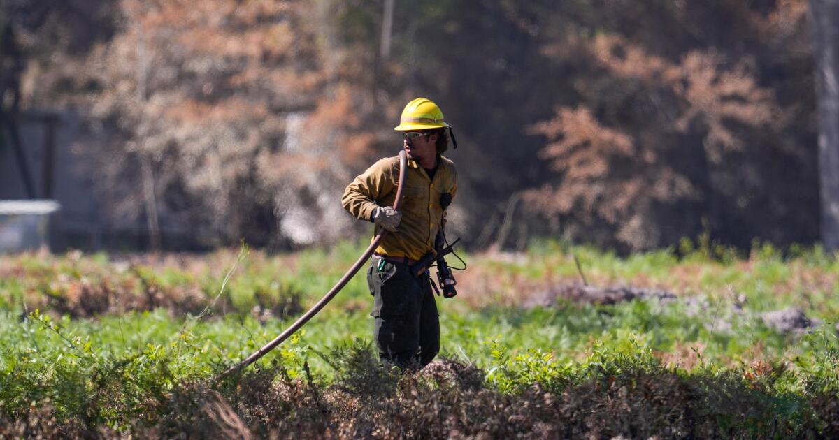 Un pompier de Floride décède et 120 maisons détruites en Géorgie dans des incendies de forêt croissants