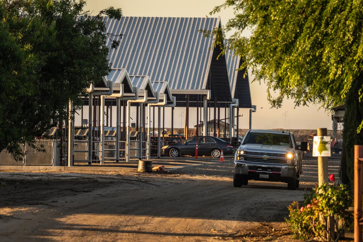 Une camionnette passe devant les granges du Agresti Calf Ranch au lever du soleil à Cérès.