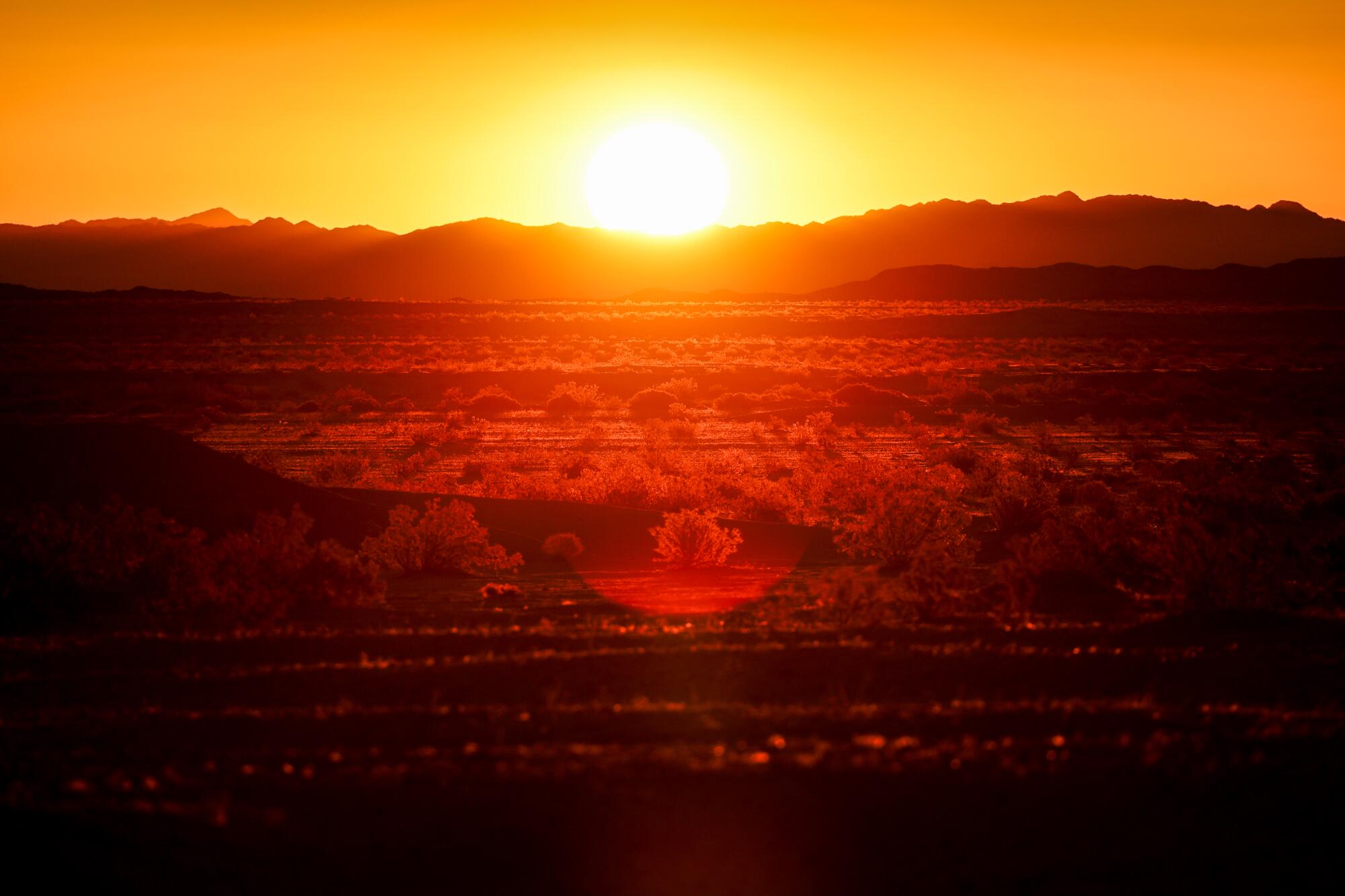 Le soleil se lève sur Ocotillo Wells dans le parc national du désert d'Anza-Borrego.