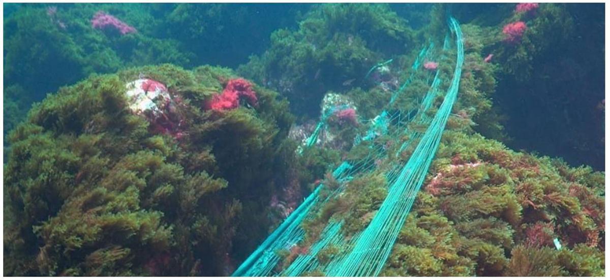 Rouge de dérivé abandonné sur le fond marin